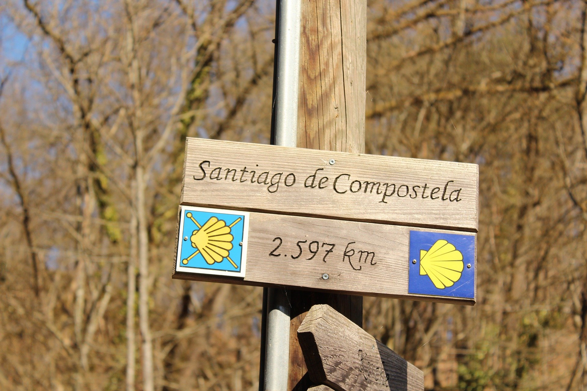 Camino de Santiago de Compostela s