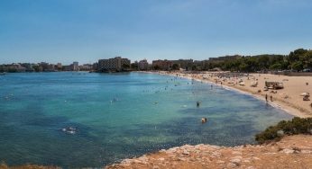 Qué ver en Palma de Mallorca en 1 día: consejos e ideas