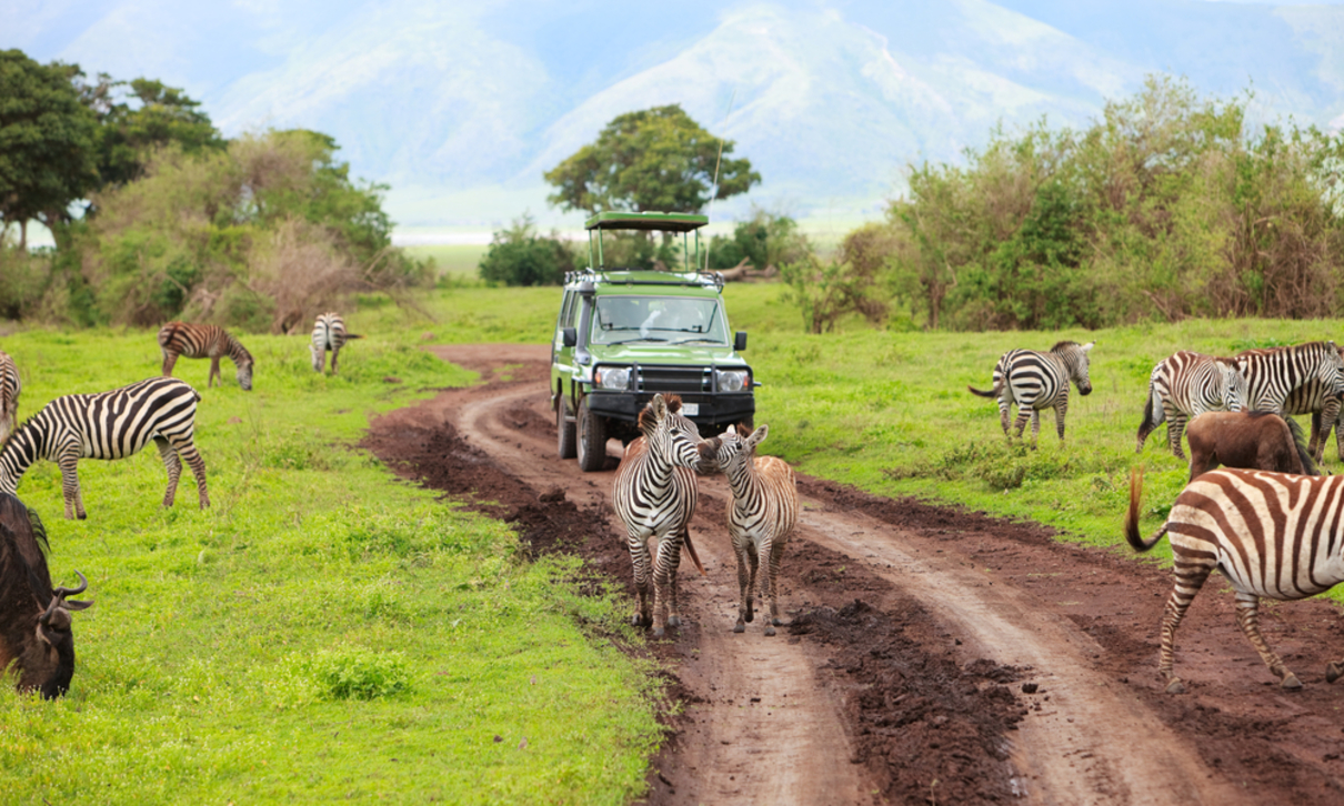 programar safaris en Tanzania