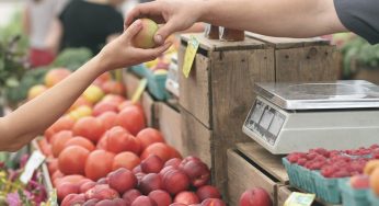 Mercados locales en Italia: los más bellos y antiguos para visitar