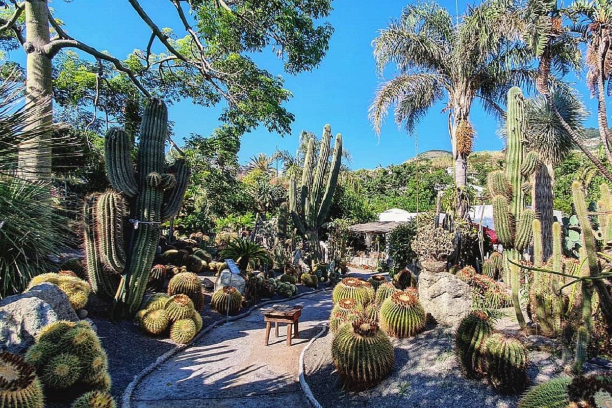 Ravino Ischia Gardens