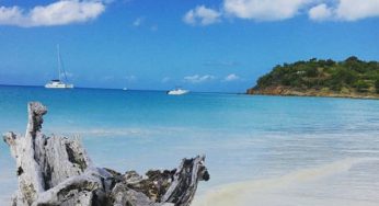 La experiencia de cómo nadar con mantarrayas en Antigua
