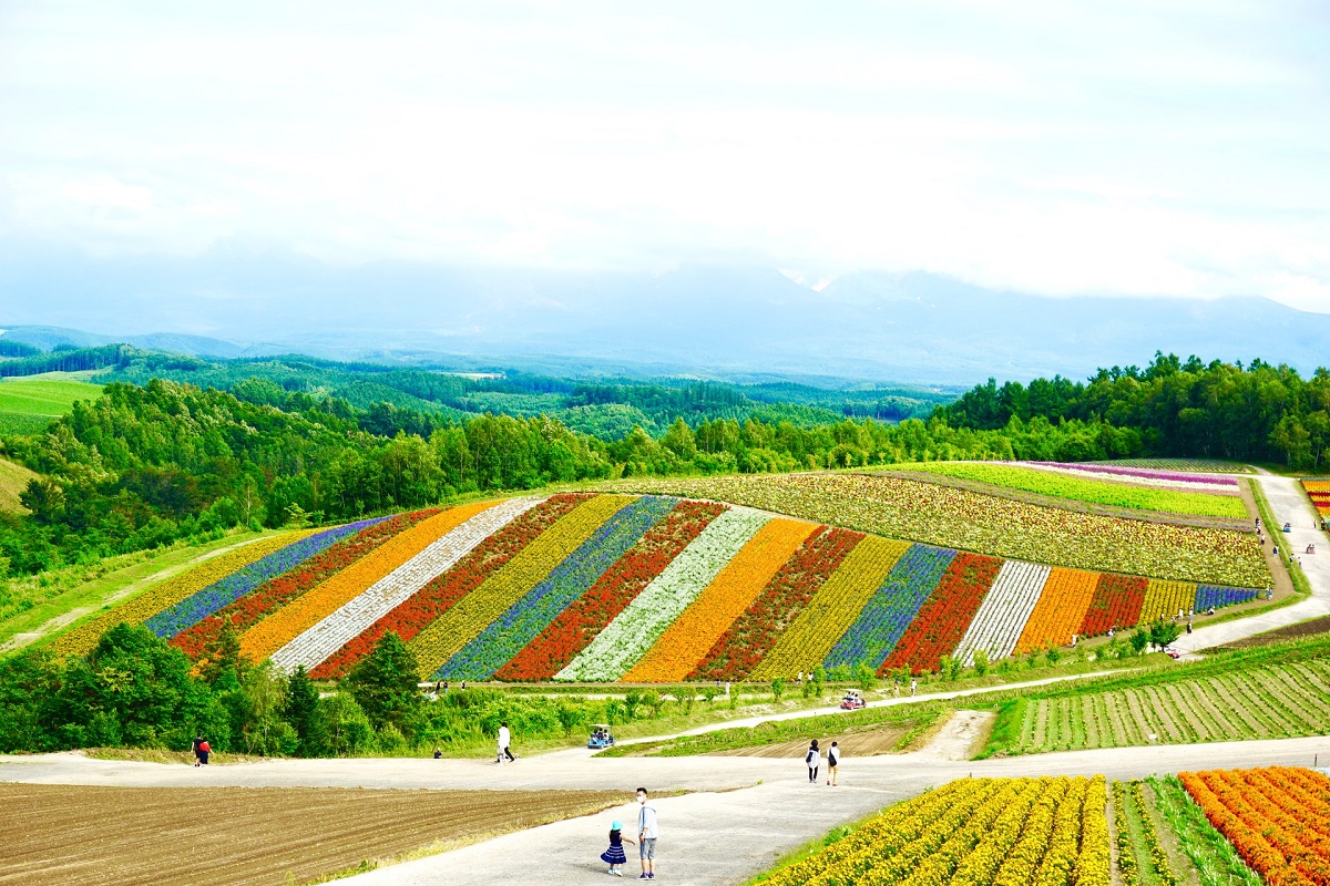 Hokkaido: qué visitar en la segunda isla más grande de Japón