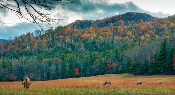 Los 12 pueblos pequeños más encantadores de Carolina del Norte