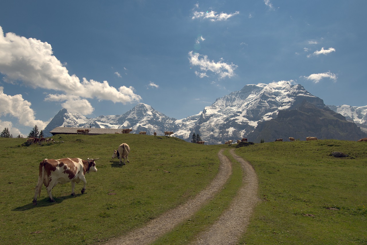 jungfraujoch