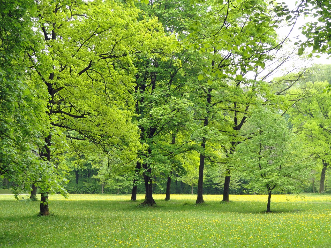 parque nacional alemania