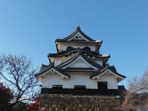 castillo de hikone 2 300x225