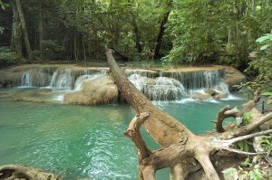 las cataratas de erawan 300x199