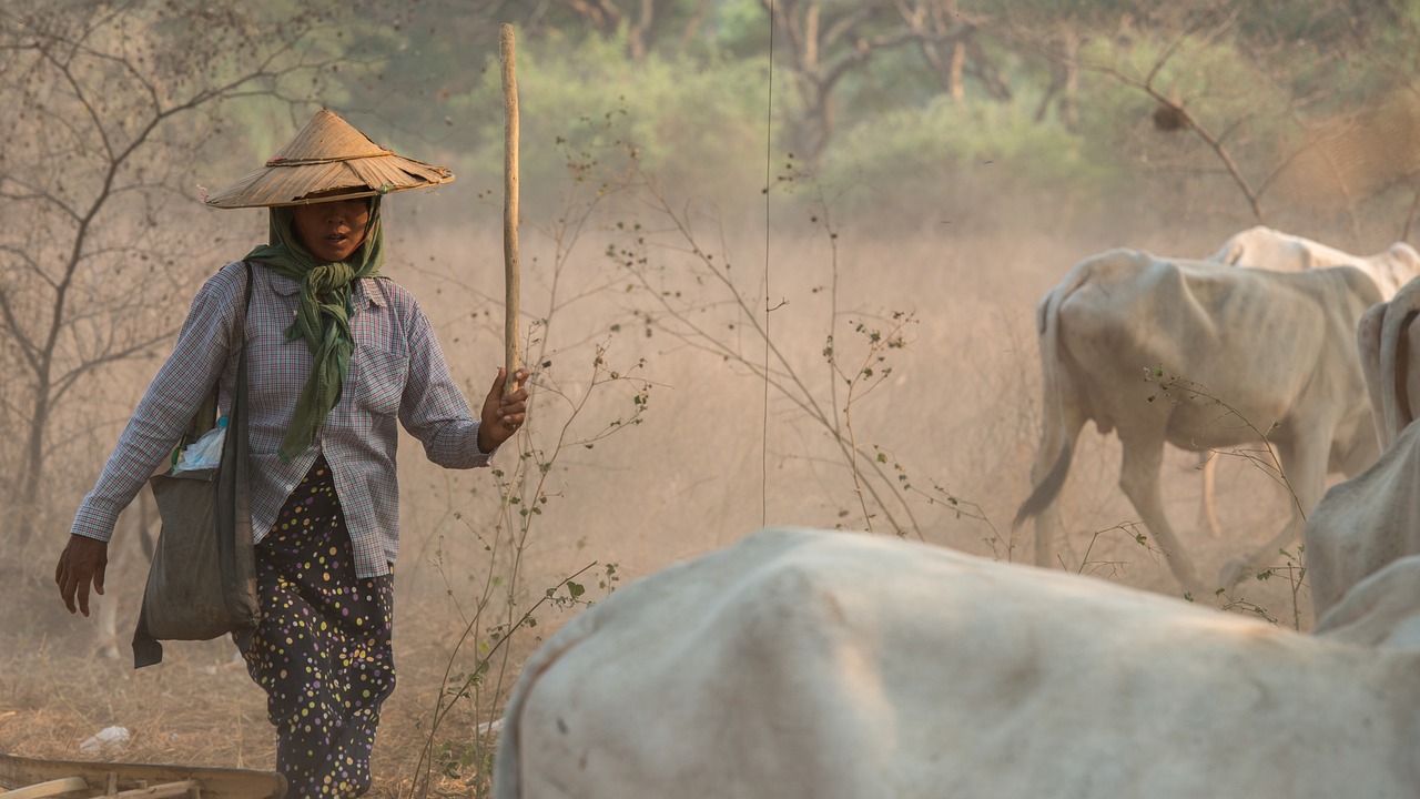 myanmar