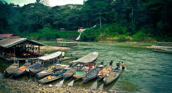 Los 12 parques nacionales más bonitos de Malasia