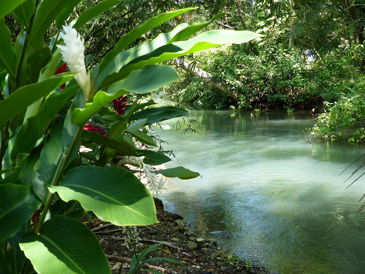 puerto antonio