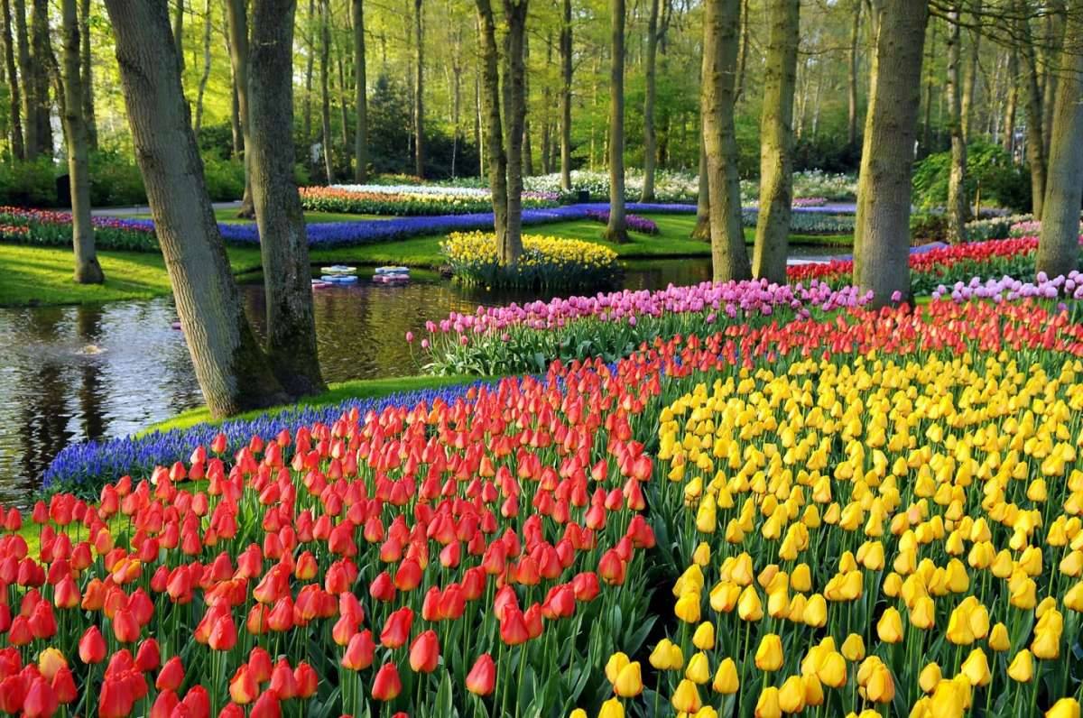 parque de keukenhof 2022 que hacer