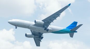 Cómo viajar con un perro en avión en la bodega