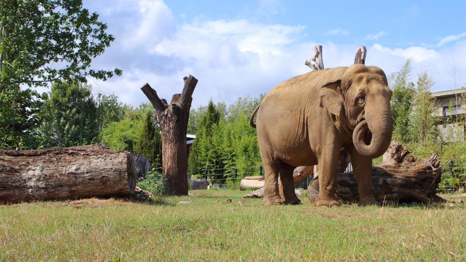 giardino zoologico