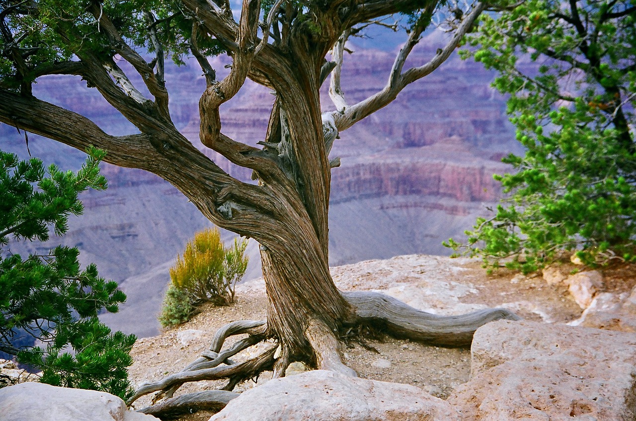 grand canyon 5946657 1280