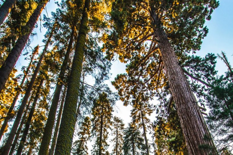 image 2833e0ab 3f70 4147 a1e0 4139586be2ca