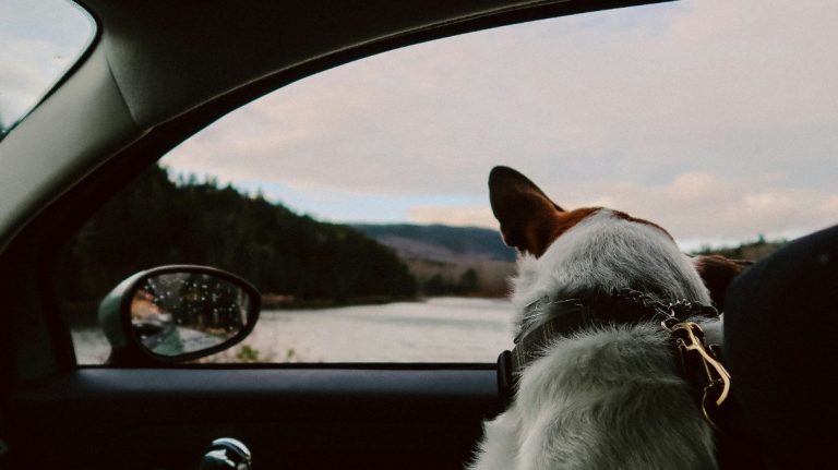 image 62a3de02 4e01 465a 8992 30365d692ff0