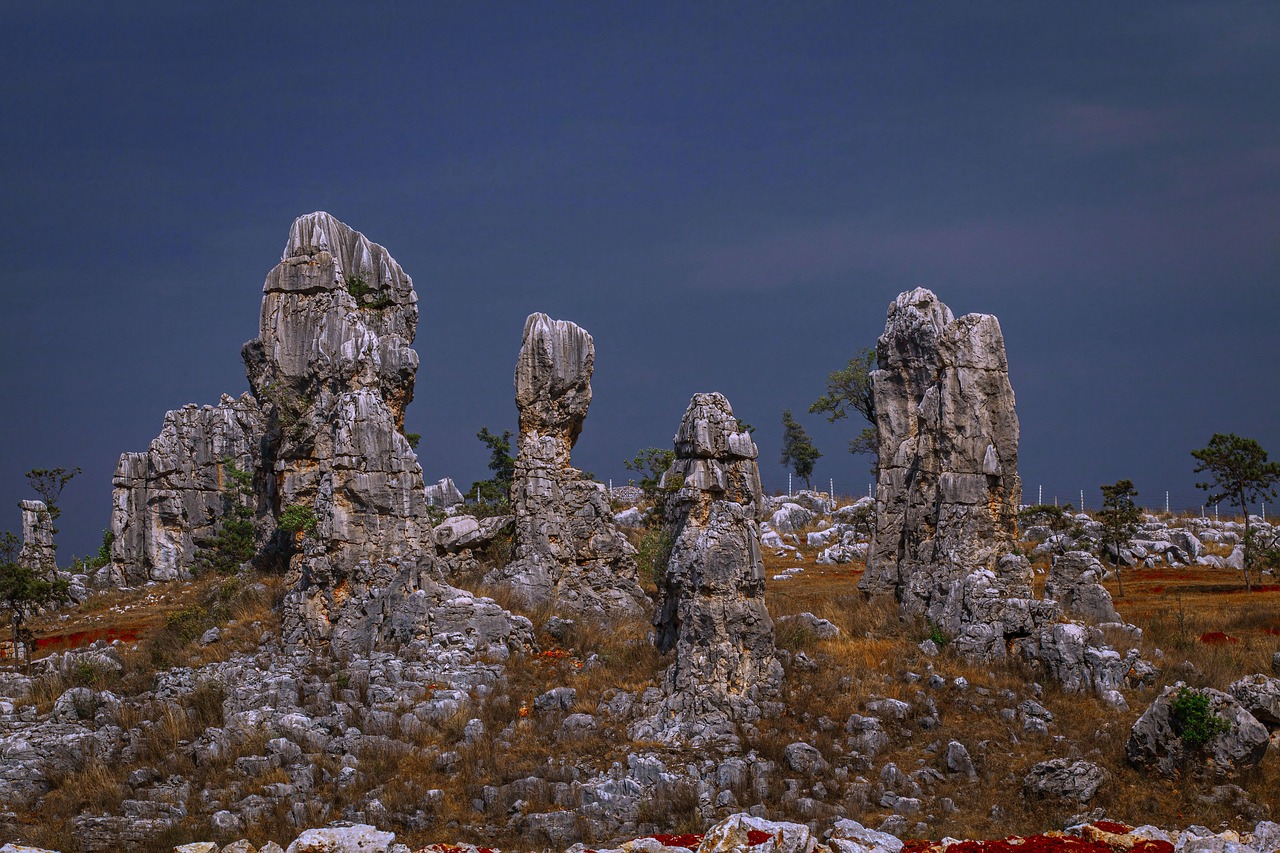 stone forest 6625536 1280