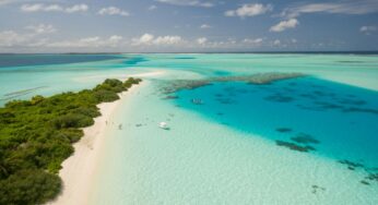 Cómo elegir una agencia de viajes: reglas a seguir