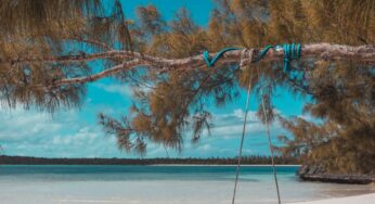 Nochevieja en las Bahamas: ¿qué hacer y ver?