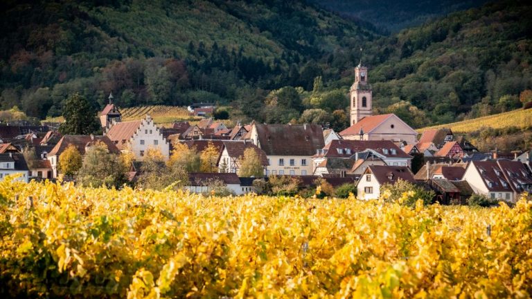 image d986b53e abff 4f42 8d24 d667e79d8d74