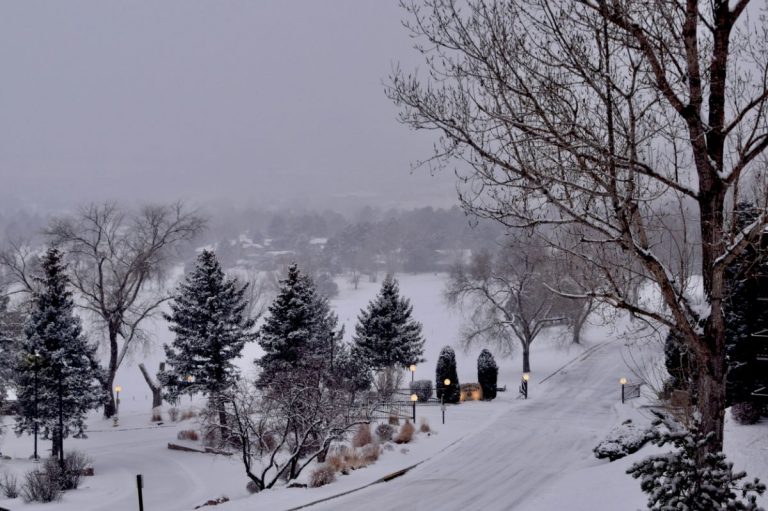 image a0d35c31 05f7 4f29 a8cd e9774b3797cc