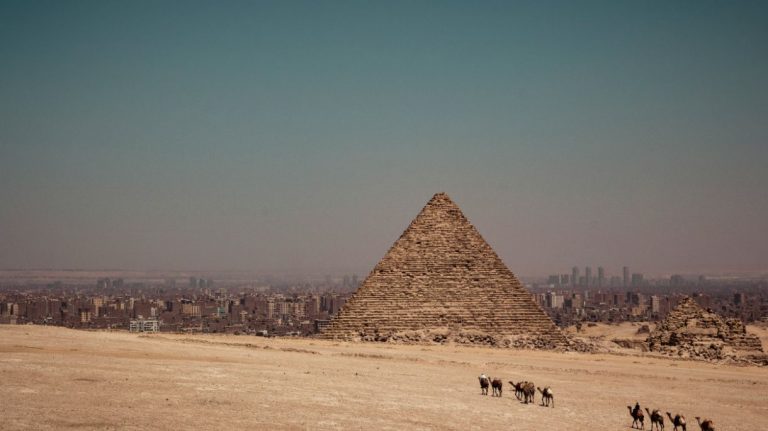 image 3d416424 1d2c 4d0d a13c 317c81e7ad00