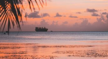 Mariana Trench: descubre el misterioso destino