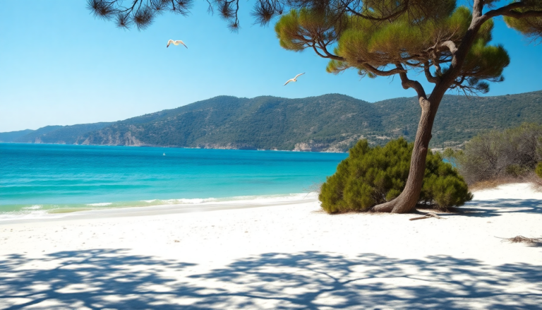 descubre la belleza escondida de la oasi biderosa en sardena 1751752283